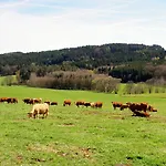 Hotel Lugerhof 2*
