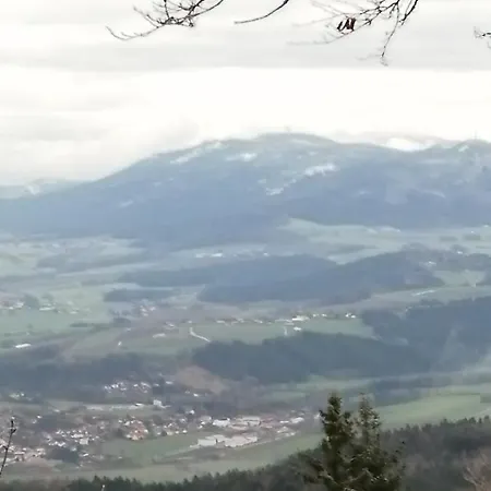 Lugerhof ホテル