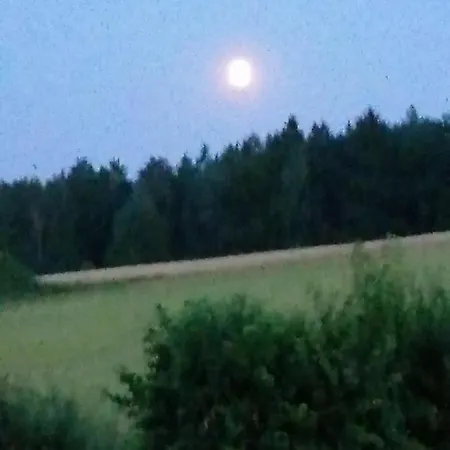 Hotel Lugerhof Weiding (Cham)