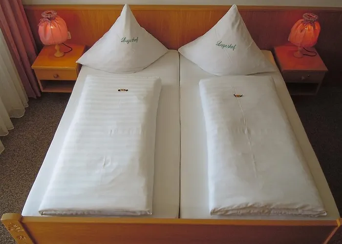 Lugerhof Hotel Weiding (Cham)